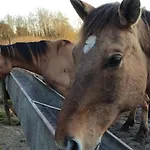 Feriehus Les Sableaux, Les Portes Du Marquenterre *