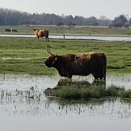 Holiday home Les Sableaux, Les Portes Du Marquenterre